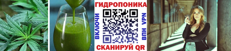 Cannafood конопля  Купить закладки  Кораблино 