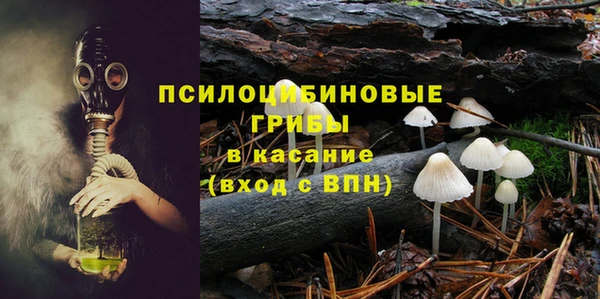 метамфетамин Богданович